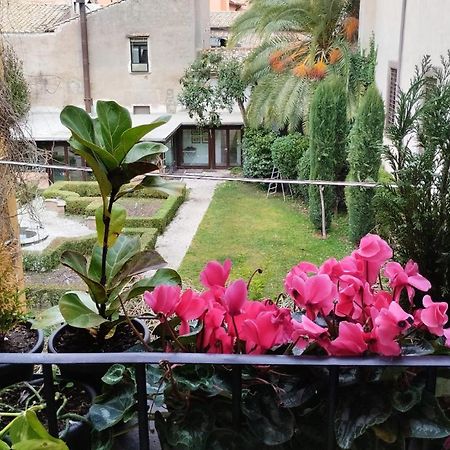 Ottantotto Viterbo Bed and Breakfast Εξωτερικό φωτογραφία