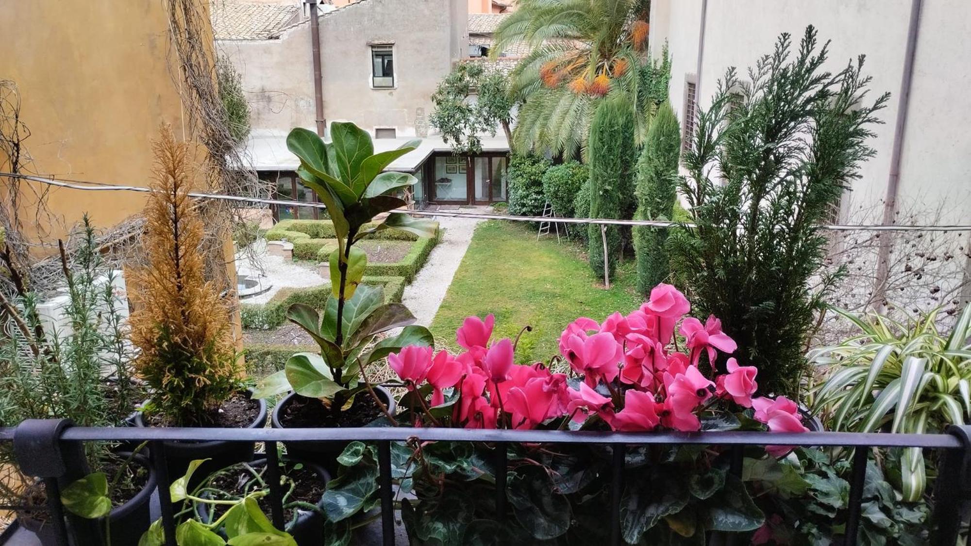 Ottantotto Viterbo Bed and Breakfast Εξωτερικό φωτογραφία